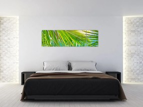 Obraz - Liście palmowe (170x50 cm)