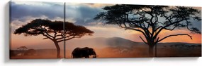 Obraz - Park Narodowy Serengeti, Tanzania, Afryka (170x50 cm)