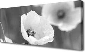 Obraz canvas Klasyczny Motyw Maków