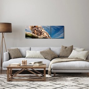 Obraz - Sowa (z zegarem) (90x30 cm)
