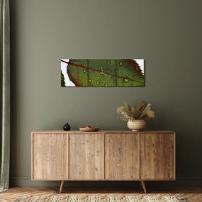 Obraz - Liść róży (z zegarem) (90x30 cm)