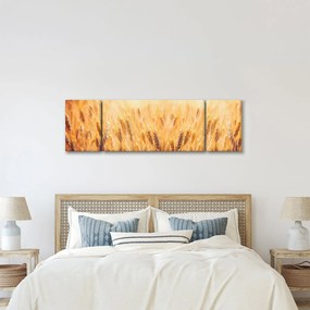 Obraz - pole z ziarnami (170x50 cm)