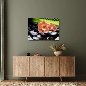 Obraz na szkle - Pomarańczowa orchidea z liśćmi palmy (70x50 cm)