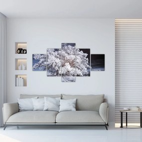 Obraz - Śnieżnobiałe drzewo (125x70 cm)