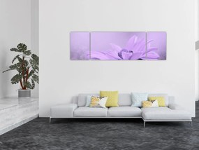 Obraz - Fioletowy kwiat (170x50 cm)