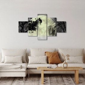 Obraz - Księżyc w pełni nad powierzchnią, wersja czarno - biała (125x70 cm)