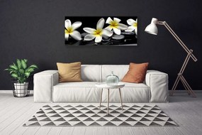 Obraz Canvas Piękny Kwiat Plumeria