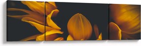 Obraz - Słoneczniki na czarnym tle (170x50 cm)
