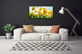 Obraz canvas Pole Tęczowych Tulipanów