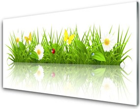 Panel Szklany do Kuchni Zielona Świeżość Trawy