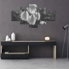 Obraz - Trawa bawełniana (125x70 cm)