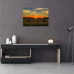 Obraz na szkle - Wiejskie bale (70x50 cm)