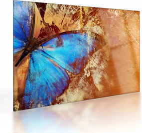 Obraz na szkle - Niebieski motyl (70x50 cm)