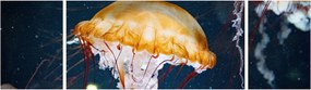 Obraz meduzy (170x50 cm)