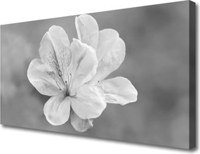 Obraz canvas na ścianę Kolorowy Ogród na Płótnie