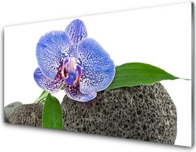 Panel Kuchenny Kwiatowa Elegancja