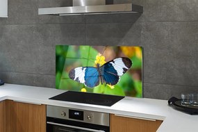 Panel Kuchenny Szklany Egzotyczny Motyl na Płatkach