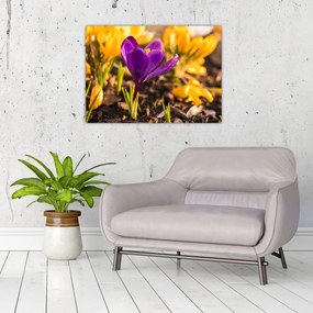 Obraz fioletowego kwiatu (70x50 cm)