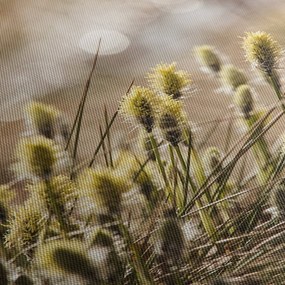 Obraz - Zieleń (170x50 cm)