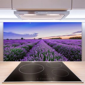 Panel Kuchenny Letnia Łąka Pełna Kwiatów