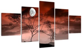 Obraz - Księżyc oświetlający noc (125x70 cm)