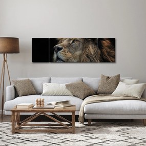 Obraz - Majestatyczny lew (170x50 cm)