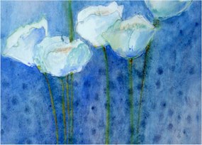 Obraz - Białe tulipany (70x50 cm)