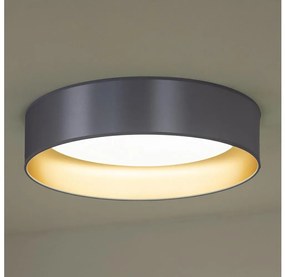 Duolla - LED Plafon ROLLER LED/24W/230V śr. 45 cm srebrny/złoty