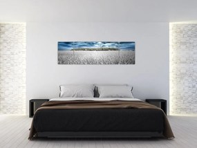 Obraz pola (170x50 cm)