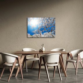 Obraz - Wiśniowe kwiaty (70x50 cm)