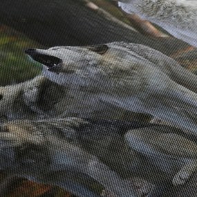 Obraz - Wilki na skale (170x50 cm)
