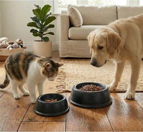 Kamionkowa miska dla czworonoga ø 16 cm – Casafina