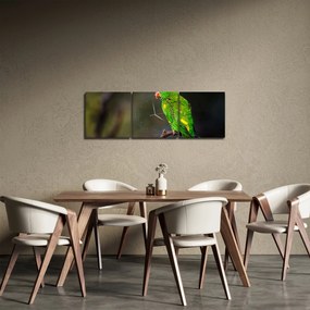 Obraz papugi na gałęzi (z zegarem) (90x30 cm)