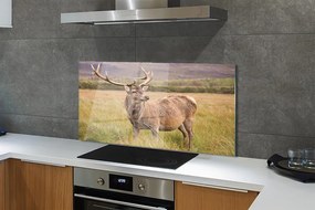 Panel Szklany Samotny Jeleń na tle Horyzontu