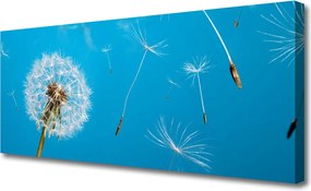 Obraz canvas na ścianę Ulotność Polnych Dmuchawców