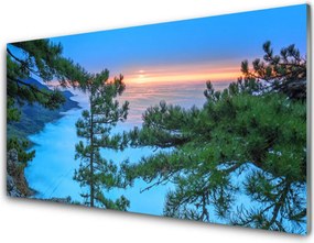 Panel Kuchenny Majestatyczne Drzewa W Lesie