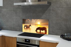 Szklany Panel Zebry przy Wodopoju o Zmierzchu