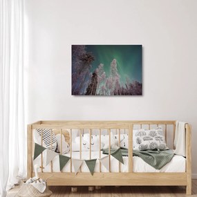 Obraz na szkle zorzy polarnej nad zamarzniętymi drzewami (70x50 cm)