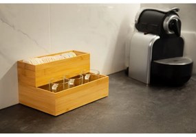 Pojemnik bambusowy Compactor, 22,5x15x6,35 cm