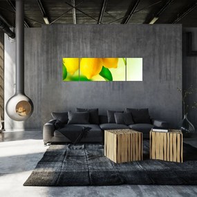 Obraz cytryn (170x50 cm)