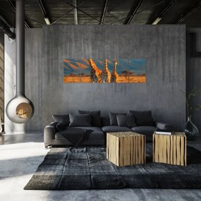 Obraz - Żyrafy na pastwisku (170x50 cm)