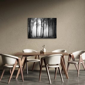 Obraz - Wilk w ciemnym lesie (70x50 cm)