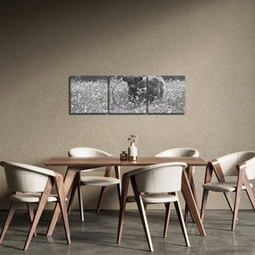 Obraz - Szkocka krowa 5, czarno - biały (z zegarem) (90x30 cm)