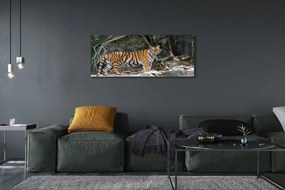 Obraz canvas na ścianę Tygrys w Dżungli
