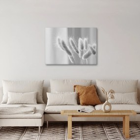 Obraz - Trawa z króliczym ogonkiem (70x50 cm)