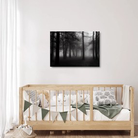 Obraz na szkle - Las we mgle (70x50 cm)