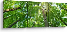 Obraz - Las (z zegarem) (90x30 cm)