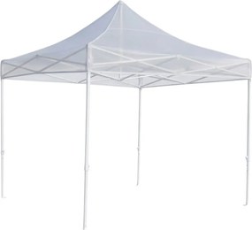 Namiot 3x3 Master przezroczysty
