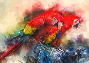 Obraz na szkle czerwonych papug Ara (70x50 cm)
