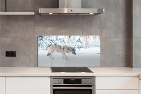 Panel Szklany Wilk zima las